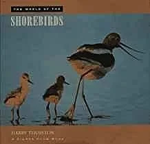 World of the Shorebirds, TheThurston, Harry